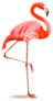 Illustration Of A Pink Flamingo Sticker