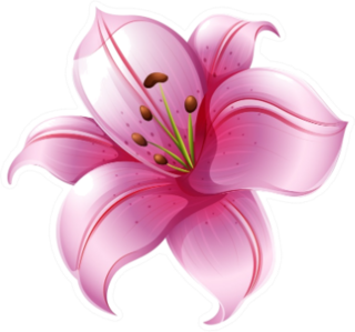 Illustration Of A Pink Lily Flower Sticker