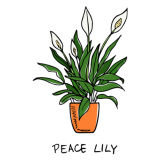 Illustration of a Potted Peace Lilly Plant Sticker