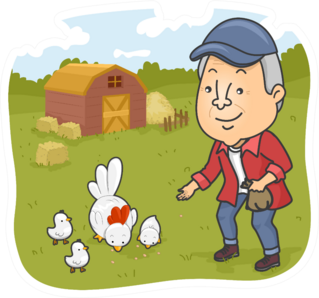 Illustration Of A Senior Citizen Feeding Chickens Sticker