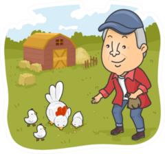 Illustration Of A Senior Citizen Feeding Chickens Sticker