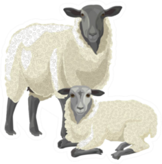 Illustration Of A Sheep With A Lamb Sticker