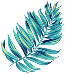 Illustration Of A Tropical Leaf Artistic Brush Stokes Sticker