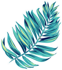 Illustration Of A Tropical Leaf Artistic Brush Stokes Sticker