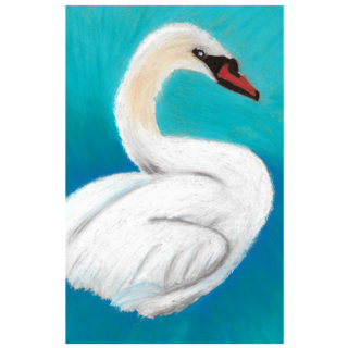 Illustration Of A White Swan On Blue Background Sticker