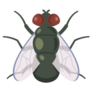 Illustration Of Adult Dung Fly Sticker