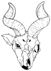 Illustration Of Antelope Skull Sticker