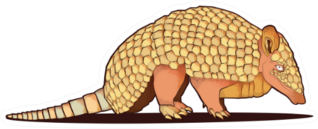 Illustration Of Armadillo Isolated On White Sticker