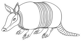 Illustration Of Armadillo Sticker
