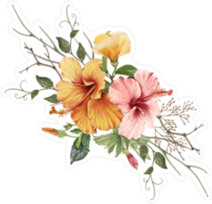 Illustration Of Beautiful Hibiscus Flower Sticker