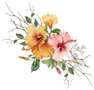 Illustration Of Beautiful Hibiscus Flower Sticker