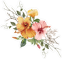 Illustration Of Beautiful Hibiscus Flower Sticker