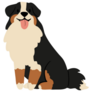Illustration Of Bernese Sticker