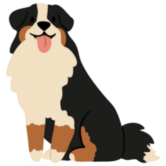 Illustration Of Bernese Sticker