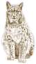 Illustration Of Bobcat Sticker