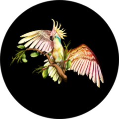 Illustration Of Cockatoo On The Tropical Branches With Leaves Sticker