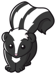 Illustration Of Cute Skunk Sticker