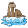Illustration Of Cute Walrus On Ice Sticker