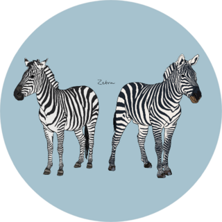 Illustration Of Cute Zebra On Blue Sticker