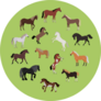 Illustration Of Different Breeds Of Horses Green Sticker
