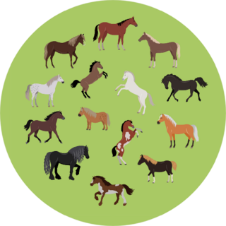 Illustration Of Different Breeds Of Horses Green Sticker