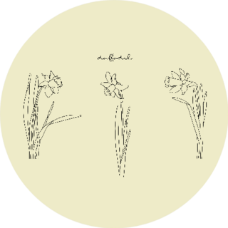 Illustration Of Flowers, Daffodil On Beige Sticker