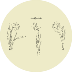 Illustration Of Flowers, Daffodil On Beige Sticker