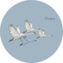 Illustration Of Flying Swans On Blue With Lettering Sticker