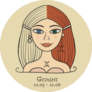 Illustration Of Gemini Portrait Split Hair Sticker