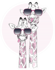 Illustration Of Giraffes In Sunglasses Pink Sticker