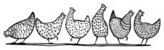 Illustration Of Hand Drawn Chickens In A Line Sticker