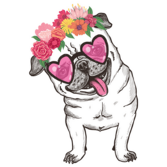Illustration Of Happy Pug In Heart Glasses Sticker