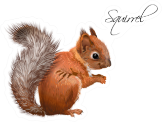 Illustration Of Little Cute Squirrel Lettering Sticker