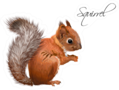Illustration Of Little Cute Squirrel Lettering Sticker