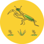 illustration Of Minimalist Cartoon Green Mantis Sticker