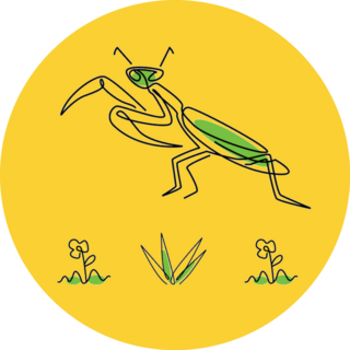 illustration Of Minimalist Cartoon Green Mantis Sticker