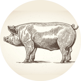 Illustration Of Pig In Graphic Style Sticker