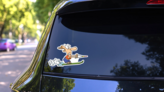 Illustration Of Scared Cartoon Man Water Skiing Sticker on a Rear Car Window (New) example