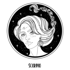 Illustration Of Scorpio Astrological Black & White Sticker