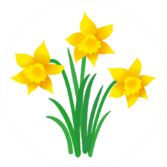 Illustration Of Three Daffodils With Leaves Sticker