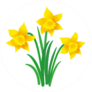 Illustration Of Three Daffodils With Leaves Sticker