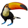 Illustration Of Toucan, Low Poly Sticker