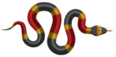 Illustration Of Tropical Snake Sticker
