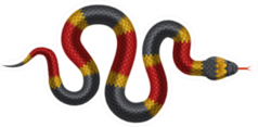 Illustration Of Tropical Snake Sticker