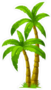 Illustration of Two Palm Trees Sticker