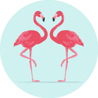Illustration Pink Flamingo Couple On Light Blue Sticker