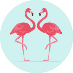 Illustration Pink Flamingo Couple On Light Blue Sticker