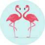 Illustration Pink Flamingo Couple On Light Blue Sticker