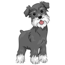 Illustration Schnauzer Sticker