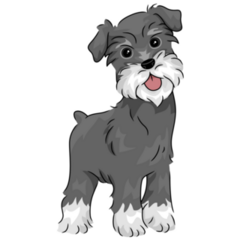 Illustration Schnauzer Sticker